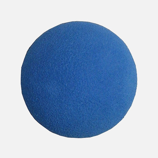 Blue Sport Foam Mini Stick Ball Blue